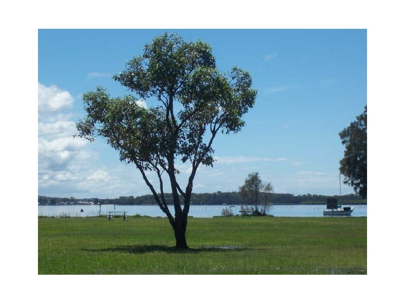 Lemon Tree Passage NSW 2319