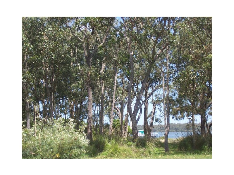 Lemon Tree Passage NSW 2319