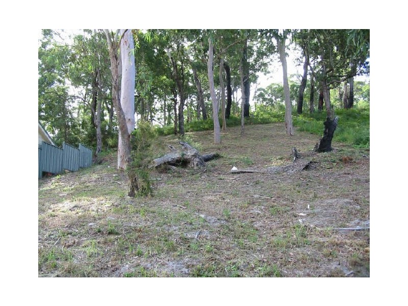 Lemon Tree Passage NSW 2319