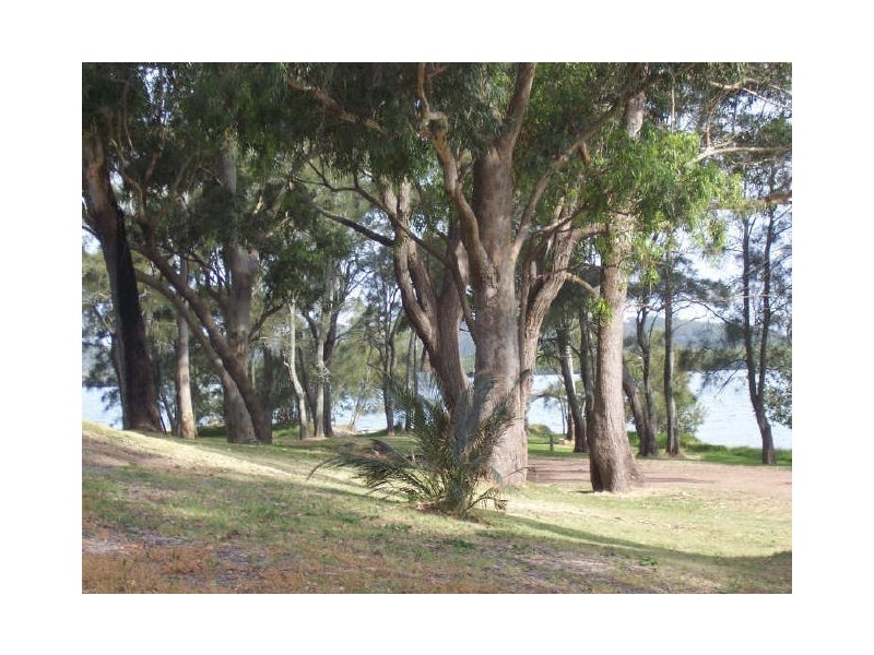 Lemon Tree Passage NSW 2319