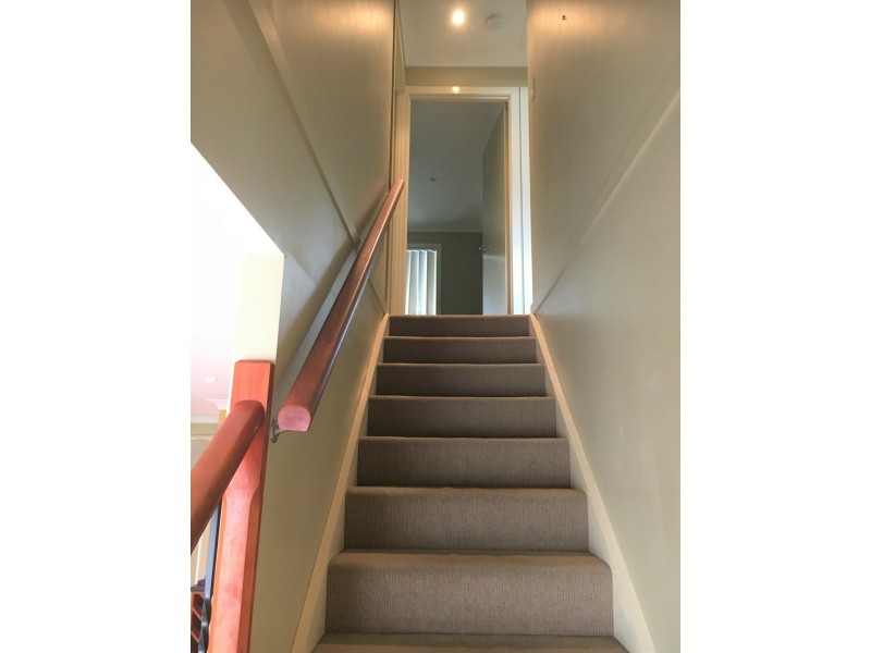 12/53 Shore Street East, Cleveland QLD 4163