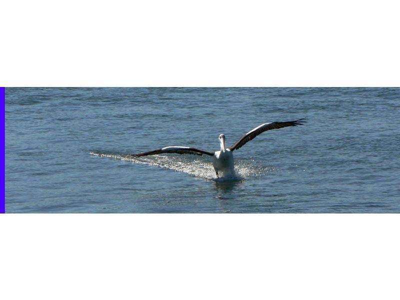 15 Esplanade, Redland Bay QLD 4165