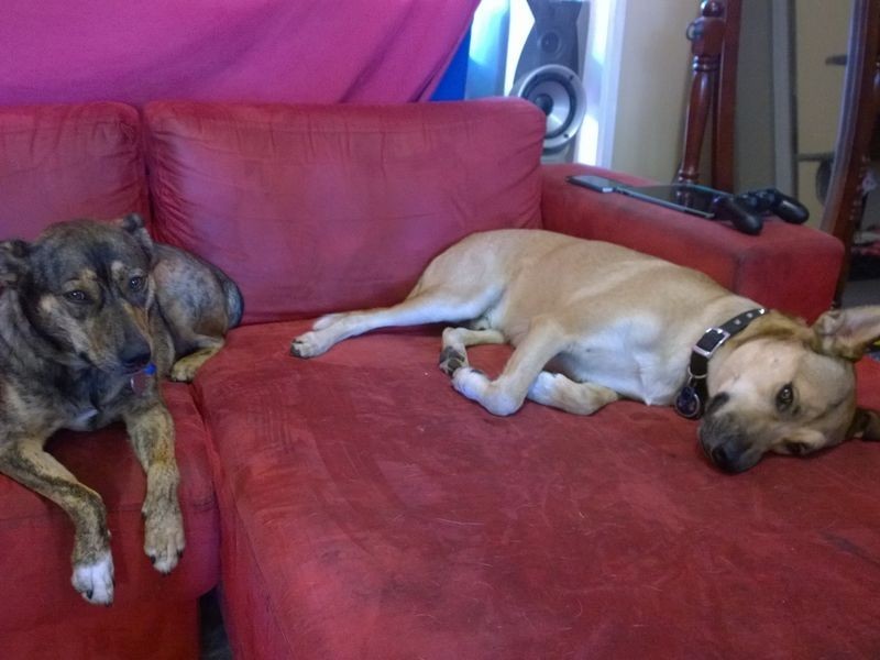 12 BELMONT ROAD, Tingalpa QLD 4173