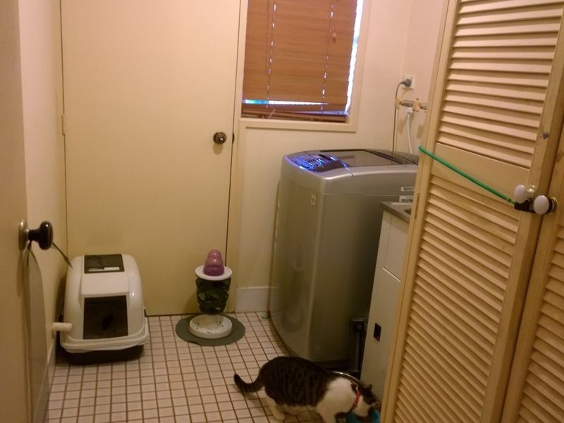 12 BELMONT ROAD, Tingalpa QLD 4173