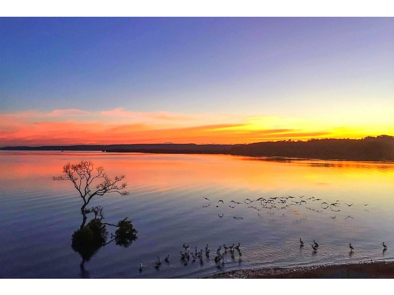 55 Bay Drive, Russell Island QLD 4184