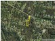Cornubia QLD 4130