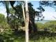 50 Charles Terrace, Macleay Island QLD 4184