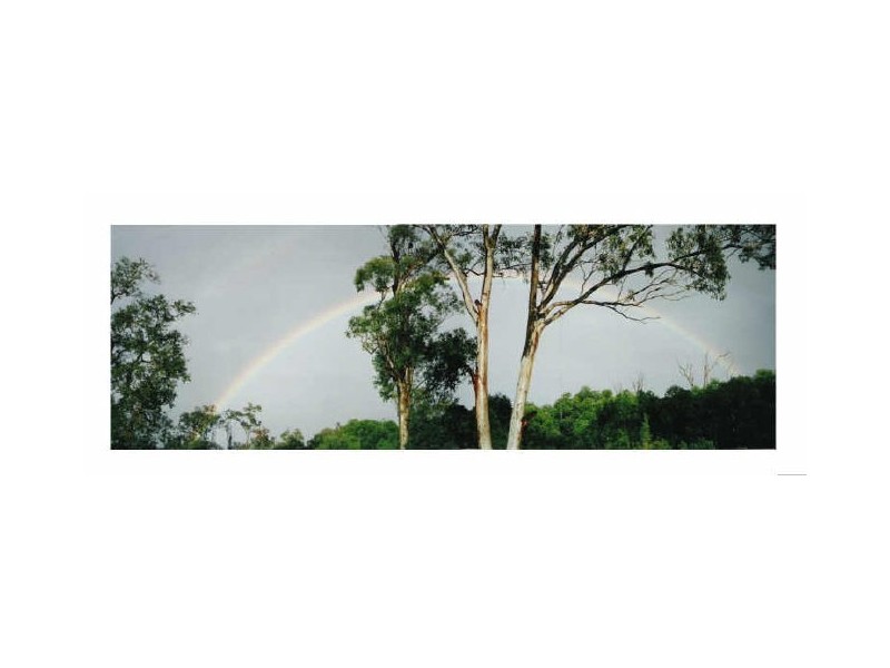 19 Honeysuckle Court, Cornubia QLD 4130