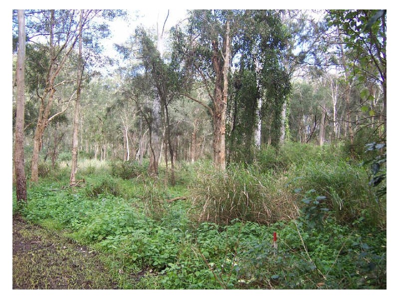 41 Pear Street, Redland Bay QLD 4165