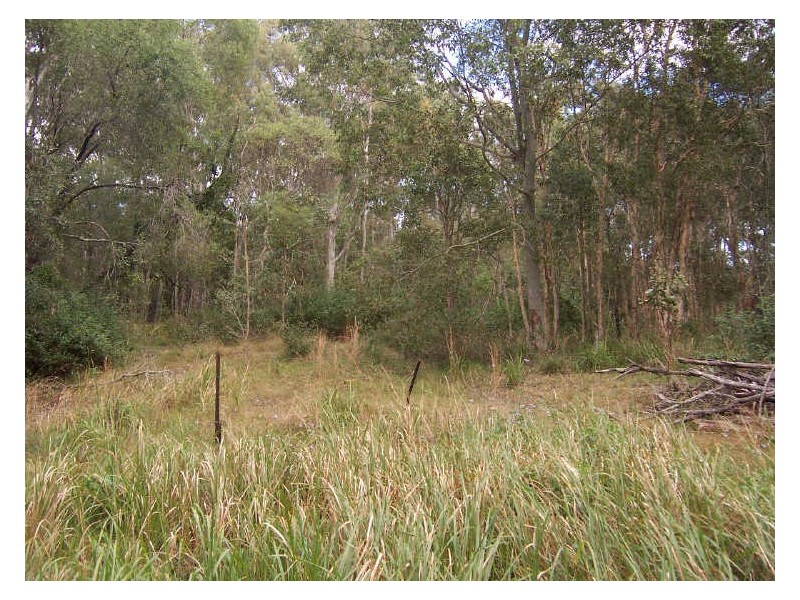 41 Pear Street, Redland Bay QLD 4165