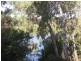 4 Alawa Street, Macleay Island QLD 4184