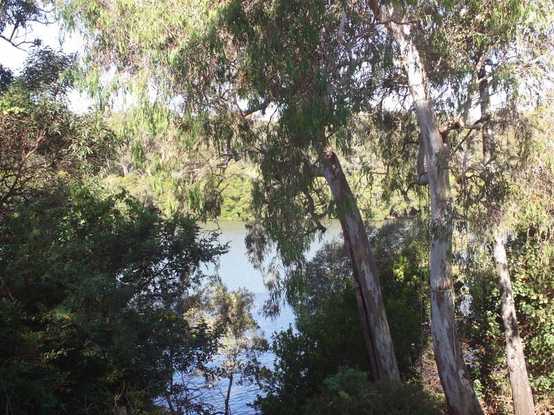 4 Alawa Street, Macleay Island QLD 4184