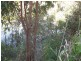4 Alawa Street, Macleay Island QLD 4184