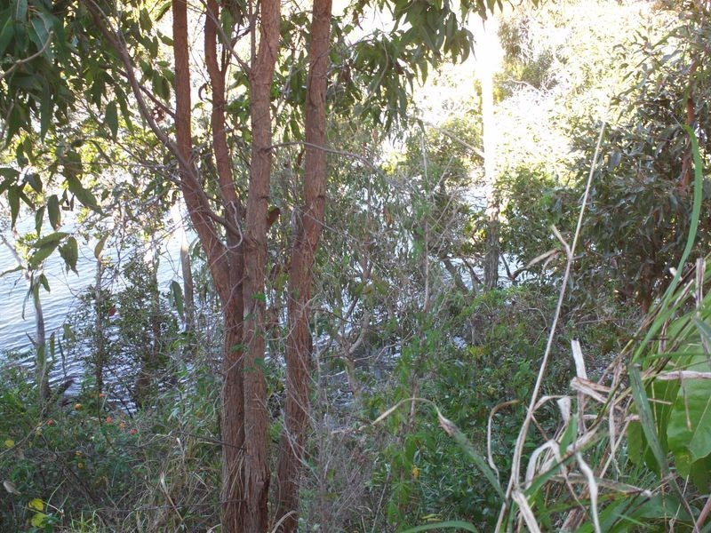 4 Alawa Street, Macleay Island QLD 4184