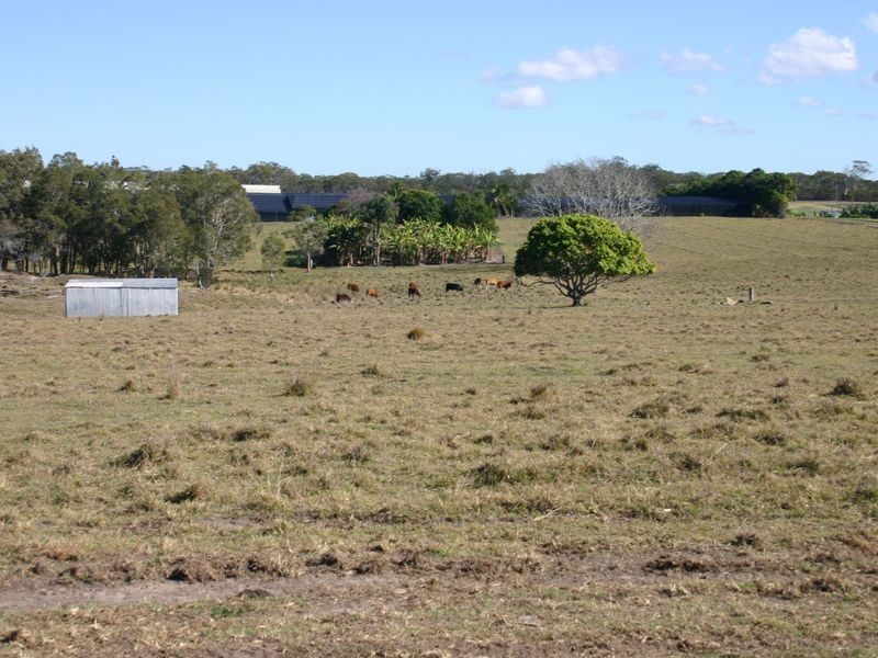 91 Orchard Road, Redland Bay QLD 4165