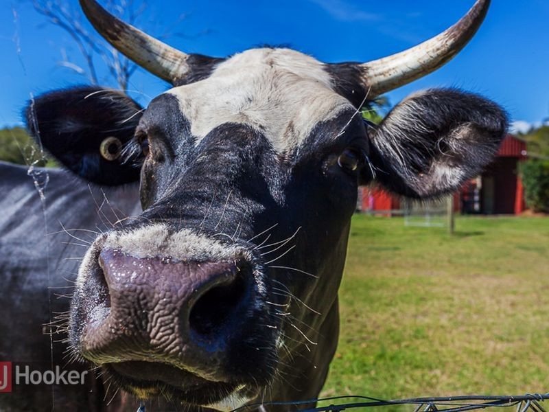 48-58 Zipfs Road, Redland Bay QLD 4165