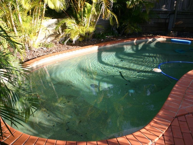 8 Palmerston Place, Victoria Point QLD 4165