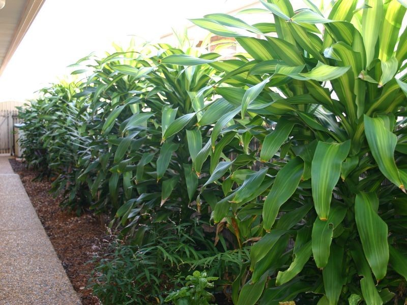 15 Newlands Street, Redland Bay QLD 4165