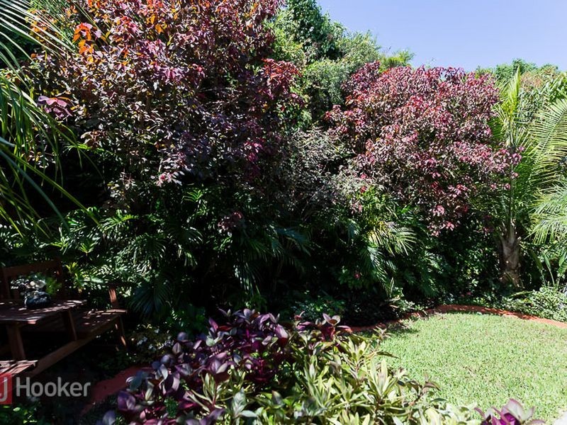 21 Aquila Street, Redland Bay QLD 4165