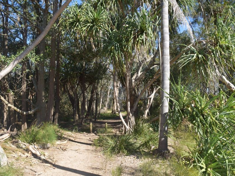 115 TORQUAY ROAD, Redland Bay QLD 4165