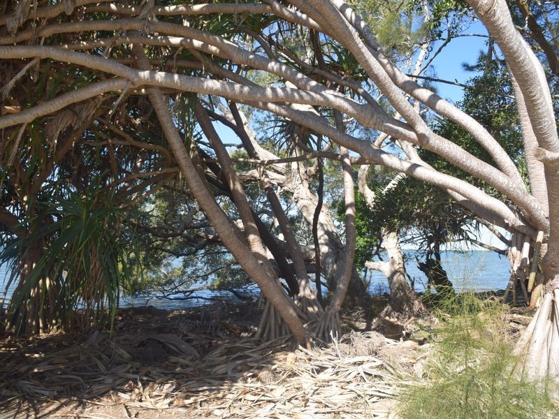 115 TORQUAY ROAD, Redland Bay QLD 4165