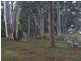 1 Boundary Street, Redland Bay QLD 4165