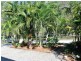 20 Devaney Street, Macleay Island QLD 4184