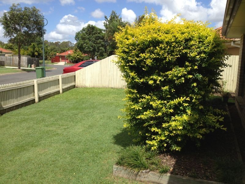 15 LITHFIELD PLACE, Loganholme QLD 4129