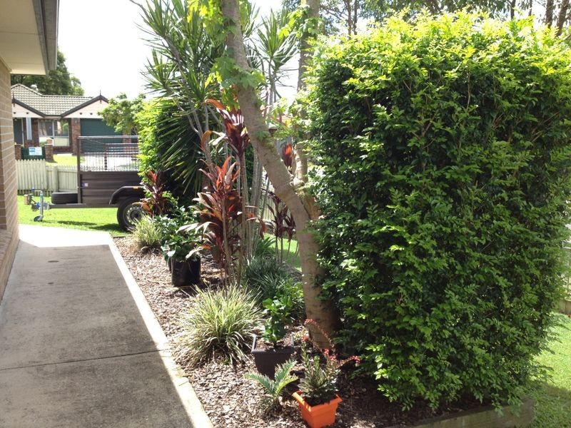 15 LITHFIELD PLACE, Loganholme QLD 4129