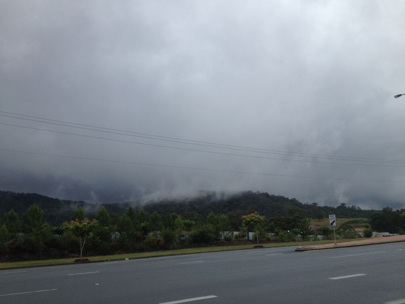 9 TREELINE CIRCUIT, Upper Coomera QLD 4209