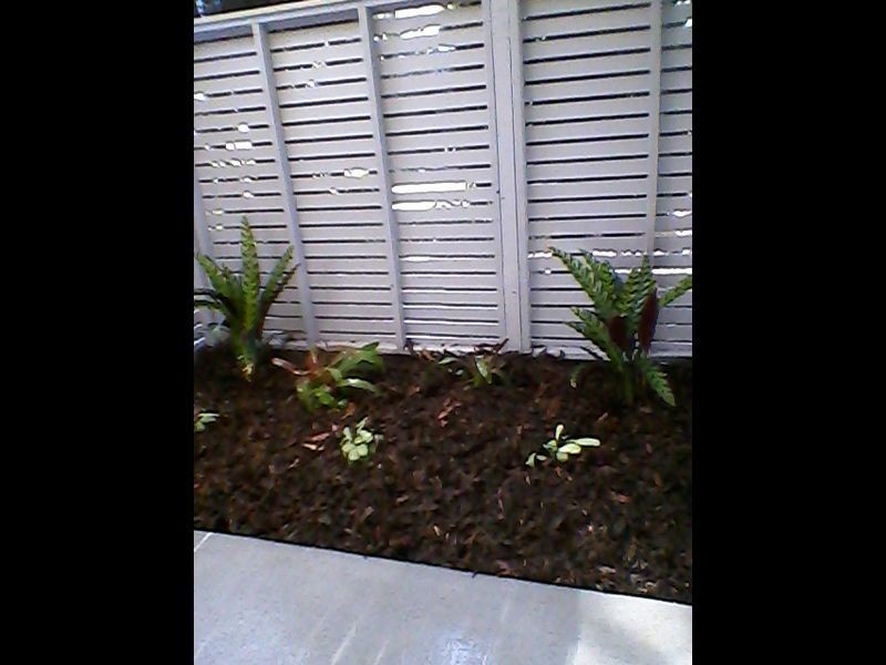 1/12 FORD STREET, Clayfield QLD 4011