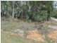 19 Ashton Street, Macleay Island QLD 4184