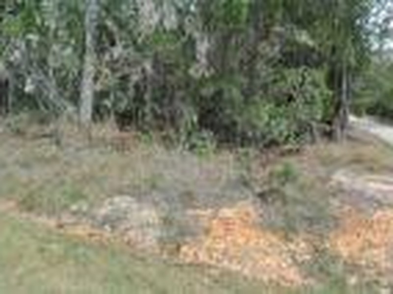 19 Ashton Street, Macleay Island QLD 4184