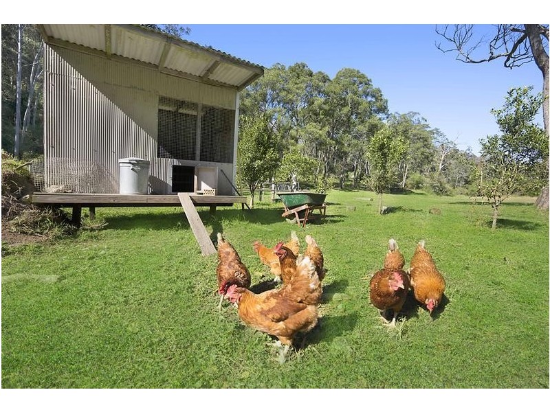 55 Dog Trap Road, Ourimbah NSW 2258