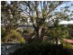 8 Bayview Avenue, East Gosford NSW 2250
