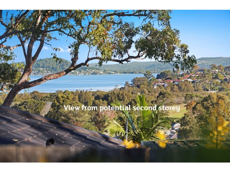 24 Dolly Avenue, Springfield NSW 2250