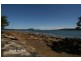 Point Frederick NSW 2250