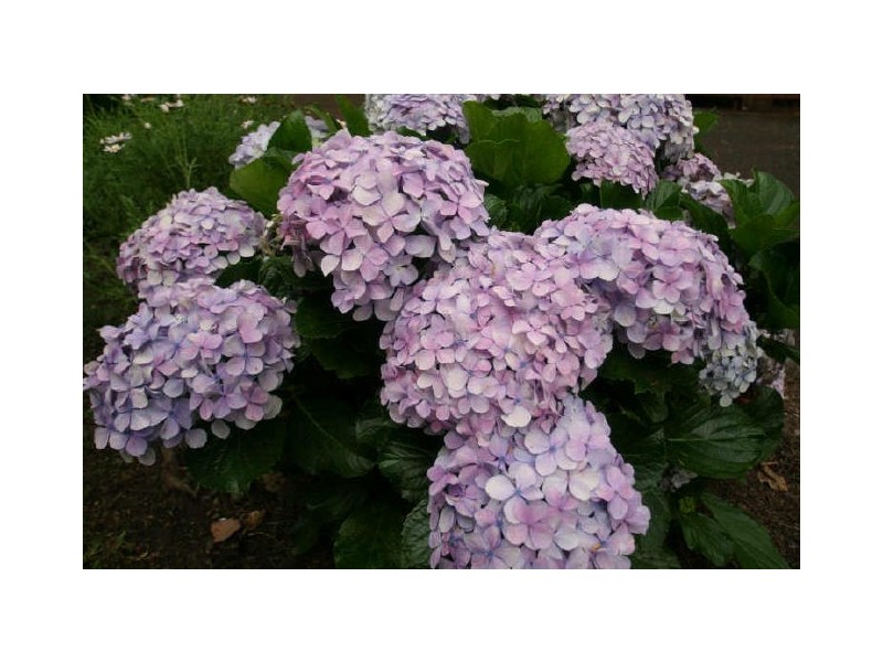 East Gosford NSW 2250