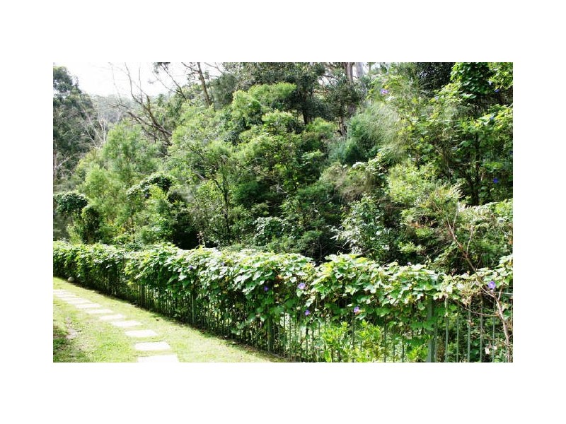 Springfield NSW 2250