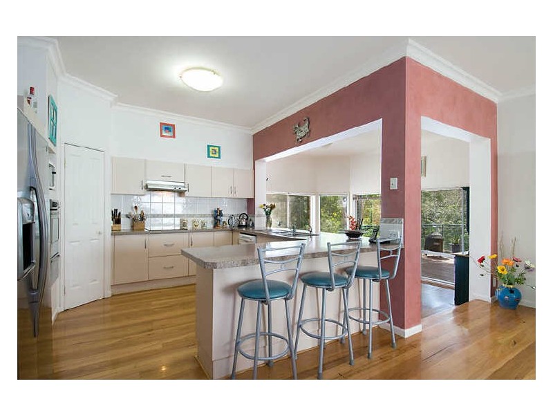 6 Watergum Place, Springfield NSW 2250
