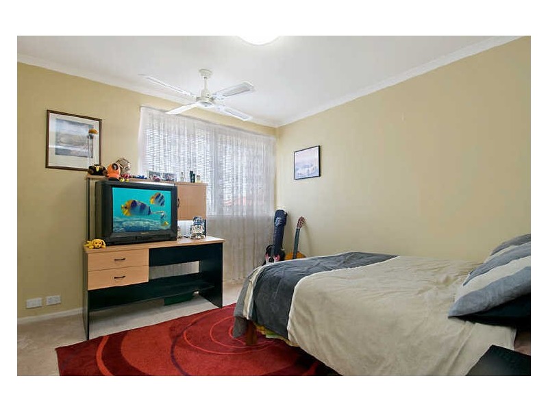 6 Watergum Place, Springfield NSW 2250