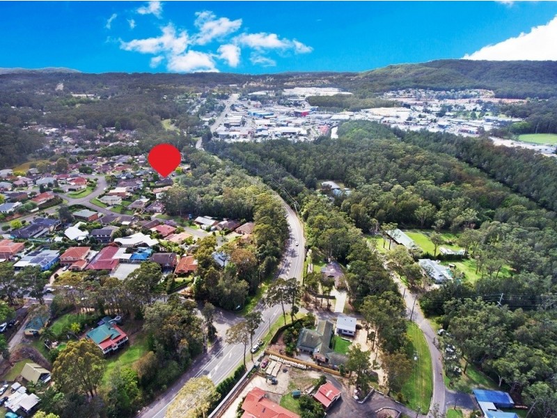 6 Nicholii Close, Springfield NSW 2250