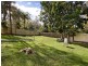 104 Springfield Road, Springfield NSW 2250