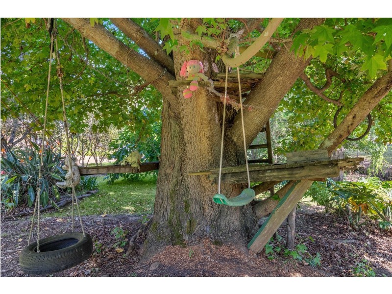 50 Chamberlain Road, Wyoming NSW 2250