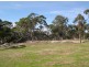 Calga NSW 2250