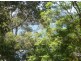 Koolewong NSW 2256