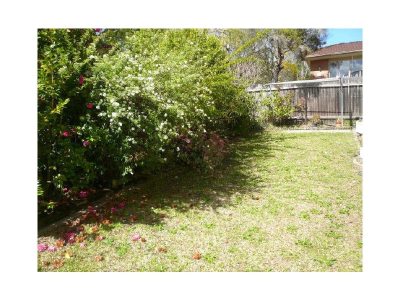 Point Clare NSW 2250