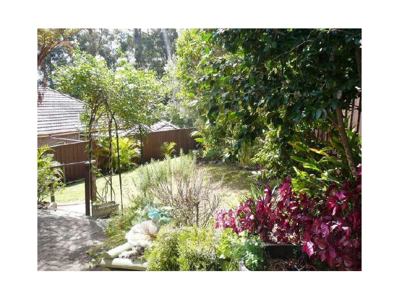 Point Clare NSW 2250