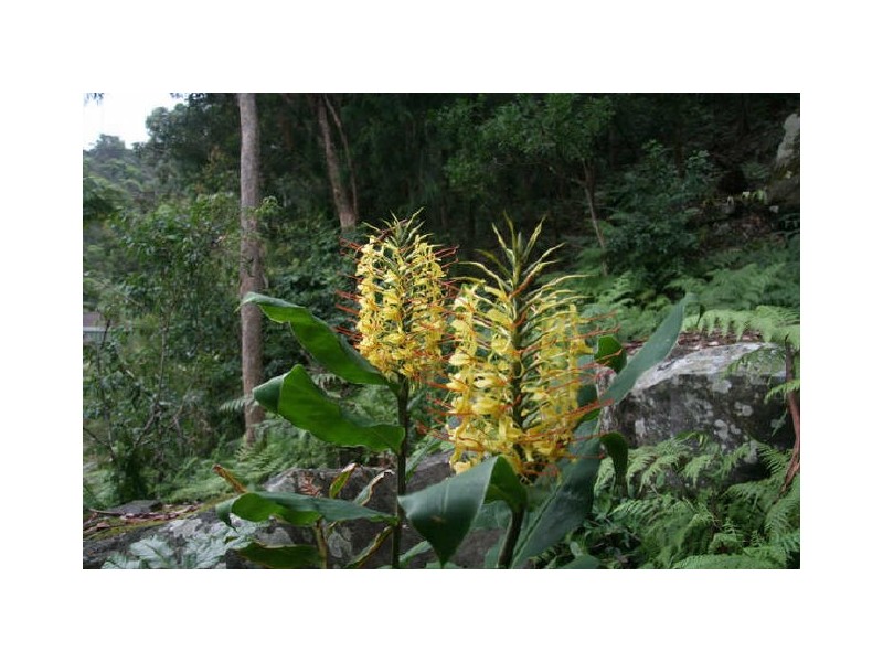 98 The Broadwaters, Tascott NSW 2250