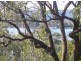 Point Clare NSW 2250